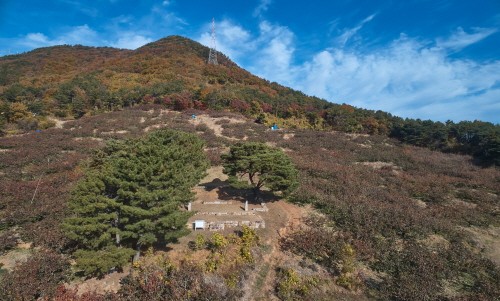 김해에 남아있는 사대부의 묘의 석물양식, 김해 능동 석인상 및 상석