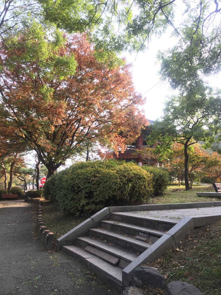 청담도로공원 이미지