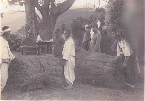 여름을 짜던 손길, 남해저마와 길쌈의 기억
