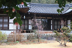‘울긋불긋 꽃대궐’, 창원 소답동 김종영 생가
