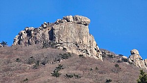 왕자를 사랑한 유배객 궁녀 가야지