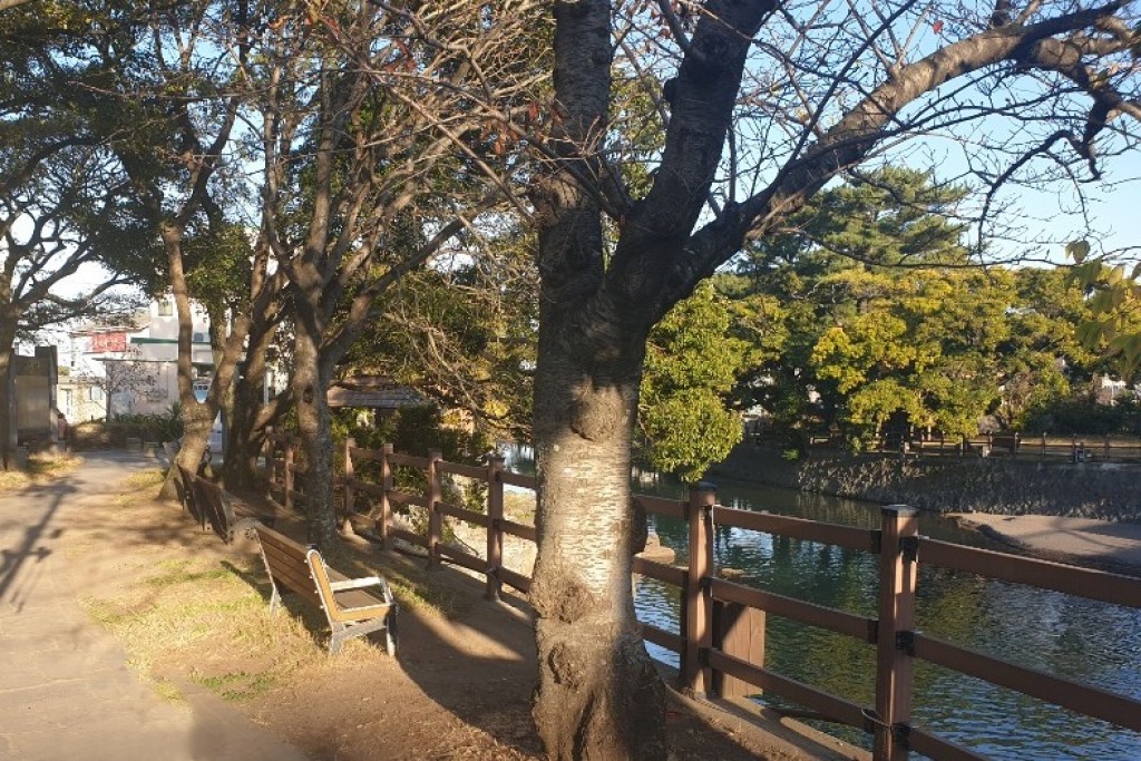 월대천 산책길 이미지