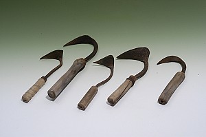 힘든 김매기가 끝나고 호미를 씻으면서 호미씻이