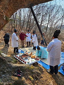 다시 돌아온 부수동 느티나무 목신제