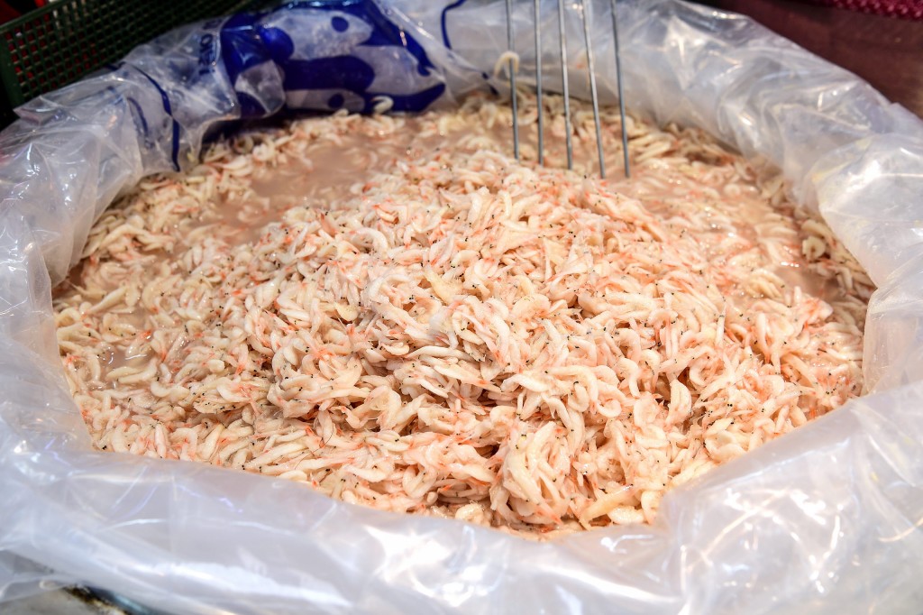 광천토굴새우젓시장-새우육젓