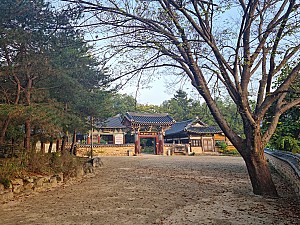 연꽃이 가득 피는 완주 송광사