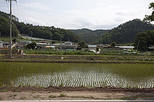 검은 옷을 입은 공포의 BTP, 흑색공포단(黑色恐怖團)