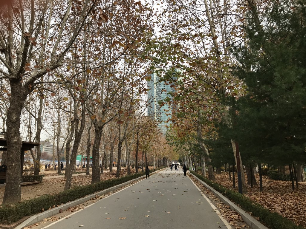 보라매 공원 산책길 이미지