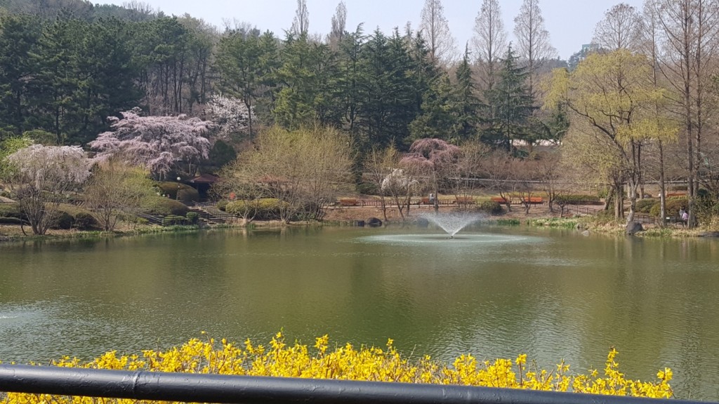 영일대 호수공원 이미지