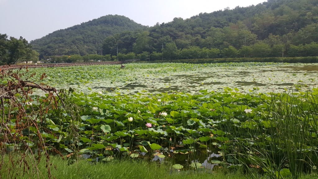 창포산 마장지 이미지