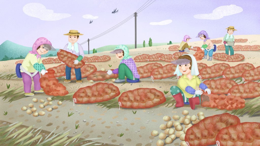 과일/특산물 음식 사진