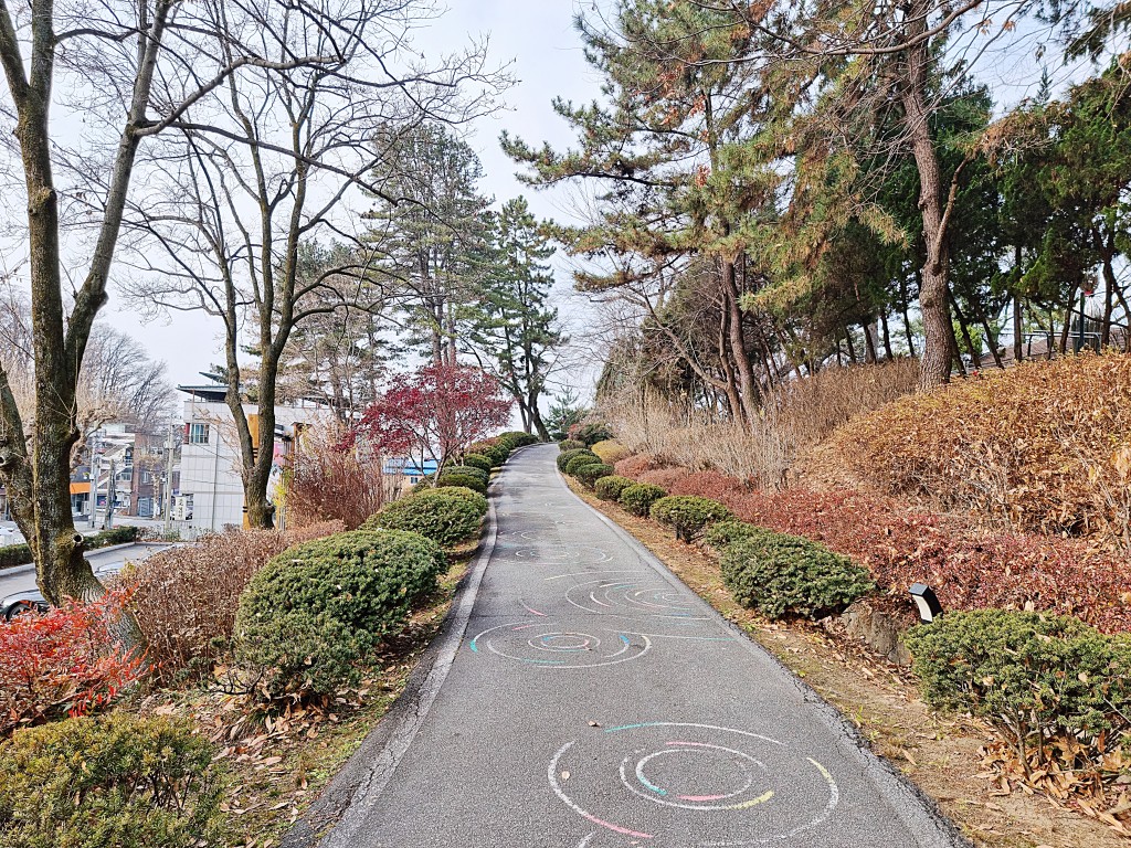 충북도지사 구 관사 가는길