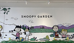 만화 <피너츠>와 제주의 자연이 어우러진 스누피 가든(SN 박물관)