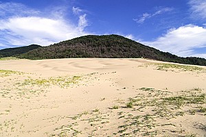 우리나라를 대표하는 모래 언덕, 인천광역시 대청면의 해안사구