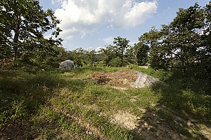 광주고등보통학교에서 외친 항일운동, 윤창하