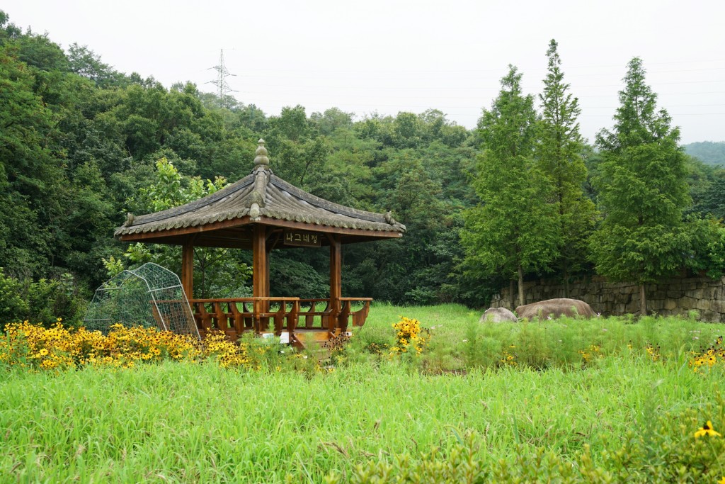 경주 나그네정 전경 