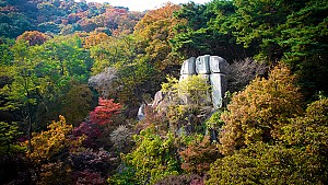 삼 형제의 효심을 기리는, 설봉산 ‘삼 형제바위’ 전설