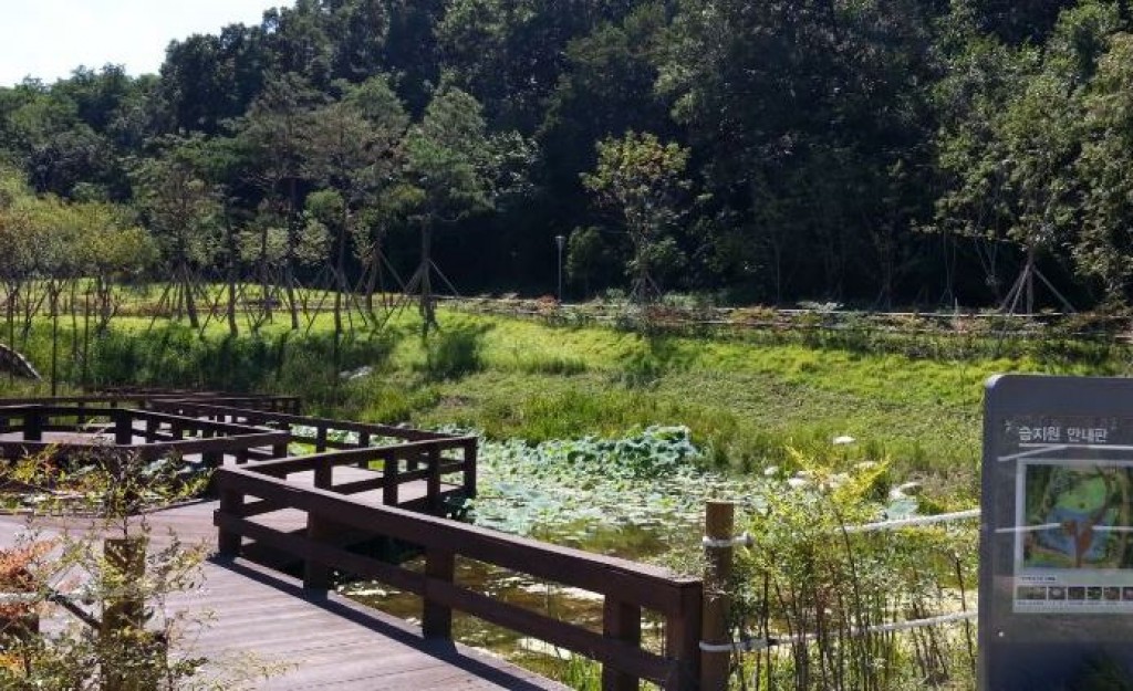 세천 유원지 산책로 이미지