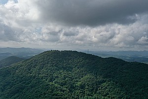병아리값으로 팔고 황소값으로 산 내 땅