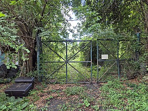 하늘의 별 따기