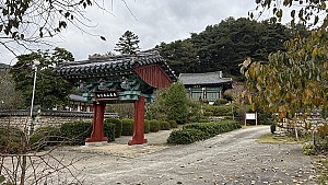 까마귀가 잡아준 절터에 세운 김천 봉곡사<오랜 역사와 문화를 품은 ...