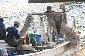 대한민국 대표 도시어부 한강 '행주어촌계'와 '행주나루'