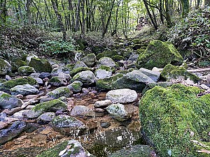 맹수들과 함께 한 골이 사라진 제주도 제주시의 아흔아홉골
