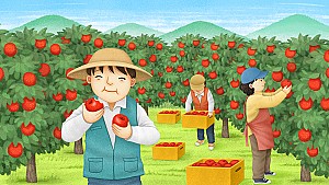 신비한 꿀사과, 밀양 얼음골사과