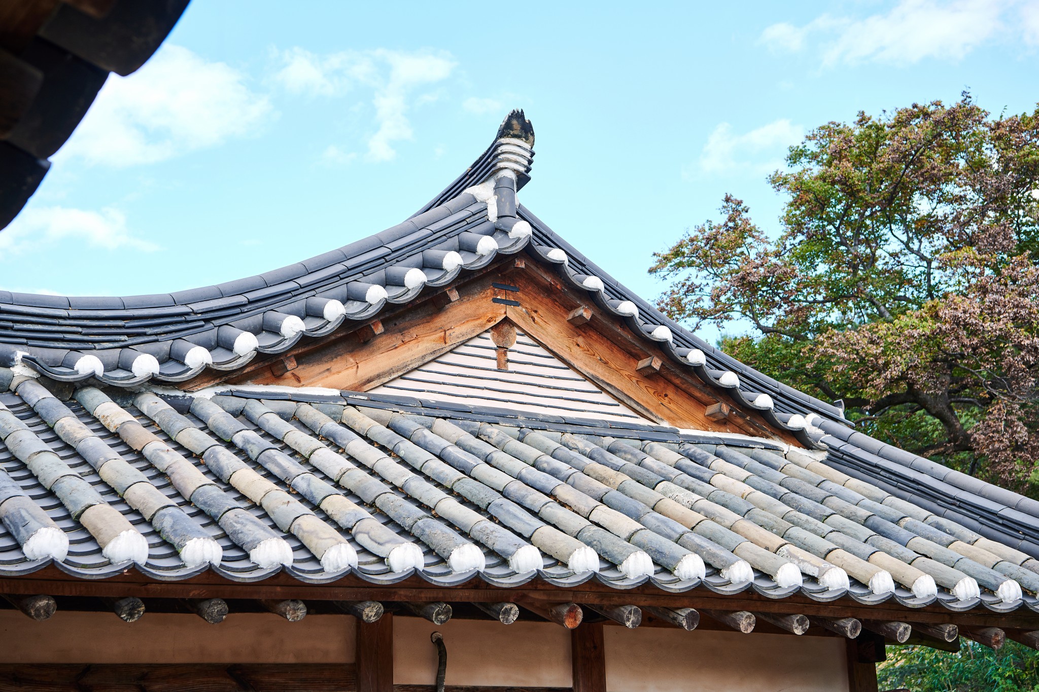 일월산자생화공원과 어우러진 영양 구 용화광산 선광장<세월의 흔적, 근대문화 역사유산<지역N문화 테마 일월산자생화공원과 어우러진 영양 구... 