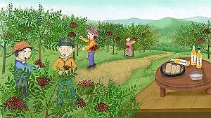 올리브유만 있냐, 강원도 영월에 산초기름도 있다