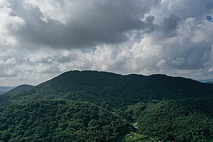 새벽녘의 무장공비 침투 마을방송