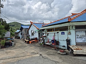 현 자의 습지 일기, ‘남겨진 아이들’