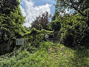 폭우로 떠내려간 지뢰