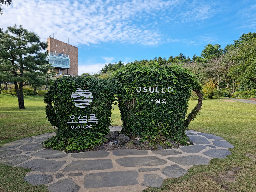 오설록 티 뮤지엄