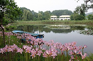 민병갈이 심은 최초의 씨앗, 천리포수목원