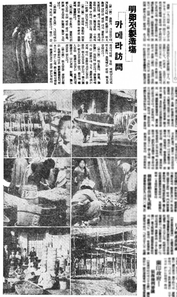 1934년 11월 1일 명란젓 제조장 카메라방문