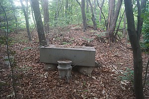 고종의 친척 아저씨 이야기