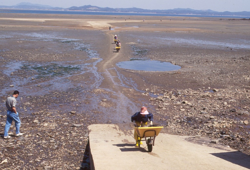 황도바지락운반