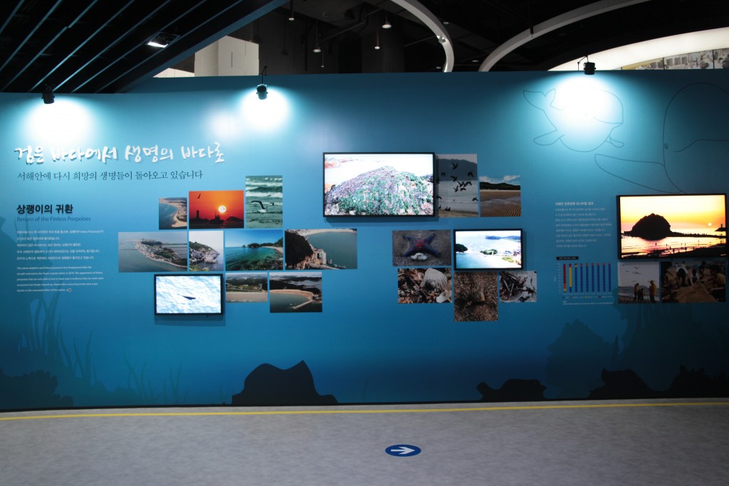 유류피해를 극복하고 깨끗해진 바다