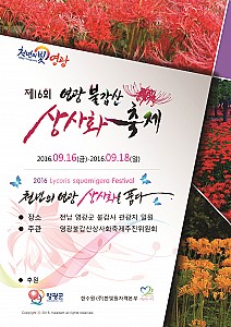 세계 최대 상사화 군락지에서 열리는 '영광불갑산상사화축제'