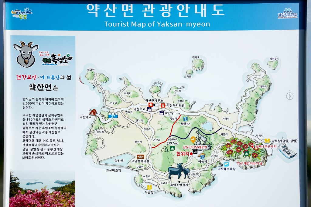 약재가 자라는 섬, 완도 조약도(약산도)<문화와 삶을 꽃피우는, 한국의 강과 바다<지역N문화 테마 약재가 자라는 섬, 완도 조약도(약산도)