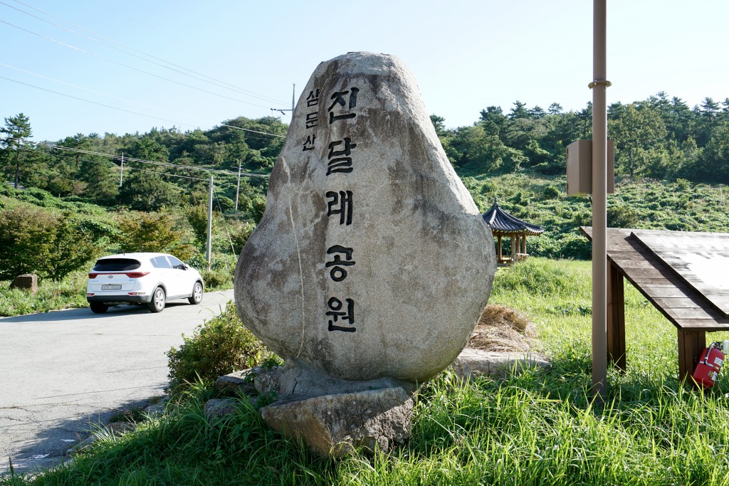 약재가 자라는 섬, 완도 조약도(약산도)<문화와 삶을 꽃피우는, 한국의 강과 바다<지역N문화 테마 약재가 자라는 섬, 완도 조약도(약산도)