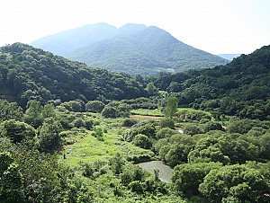 돌리네습지 배너미산이 품은 신비의 생태 그릇