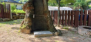 마을의 안녕을 비는 읍실마을 동제