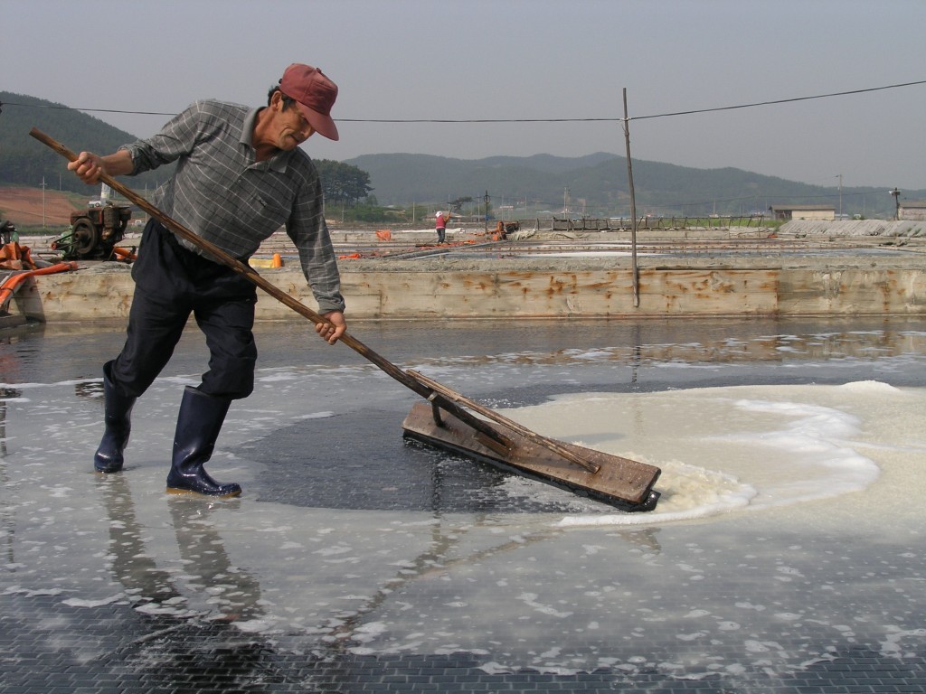 마금리 안흥염전