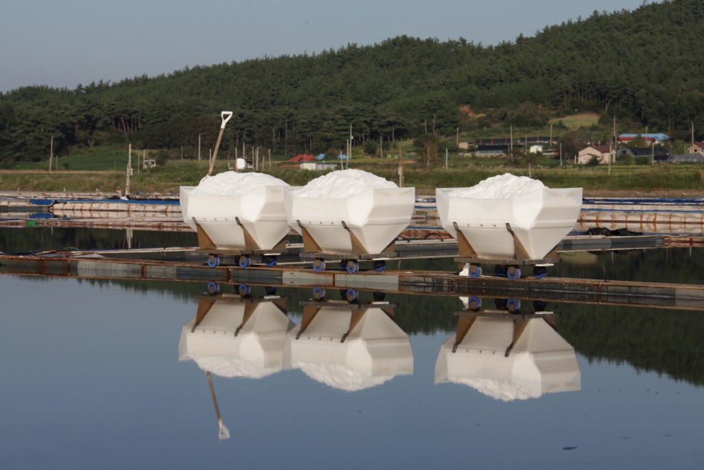 안흥염전 천일염전 소금운반레일