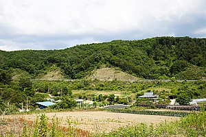 관찰사가 하인을 잃어버린 춘천 덕만이고개