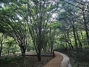 문화유산의 보물창고로 불리는 보은 법주사
