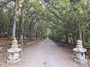 용이 승천한 용천의 신비로움을 간직한 함평 용천사