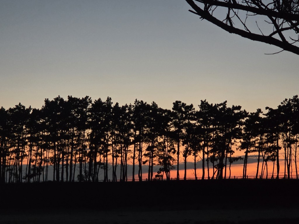 운여해변의 붉은 낙조_출처_태안문화원